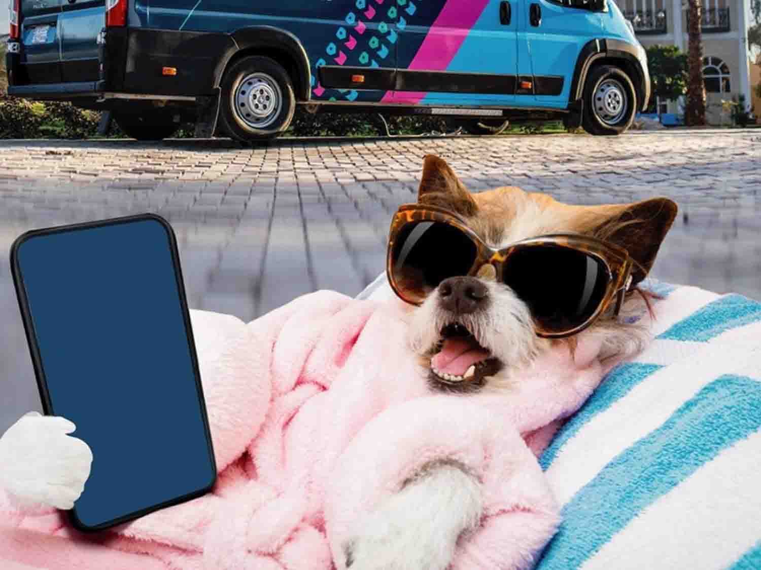 عناية بت هب للكلاب الصغيرة | خدمات منزلية