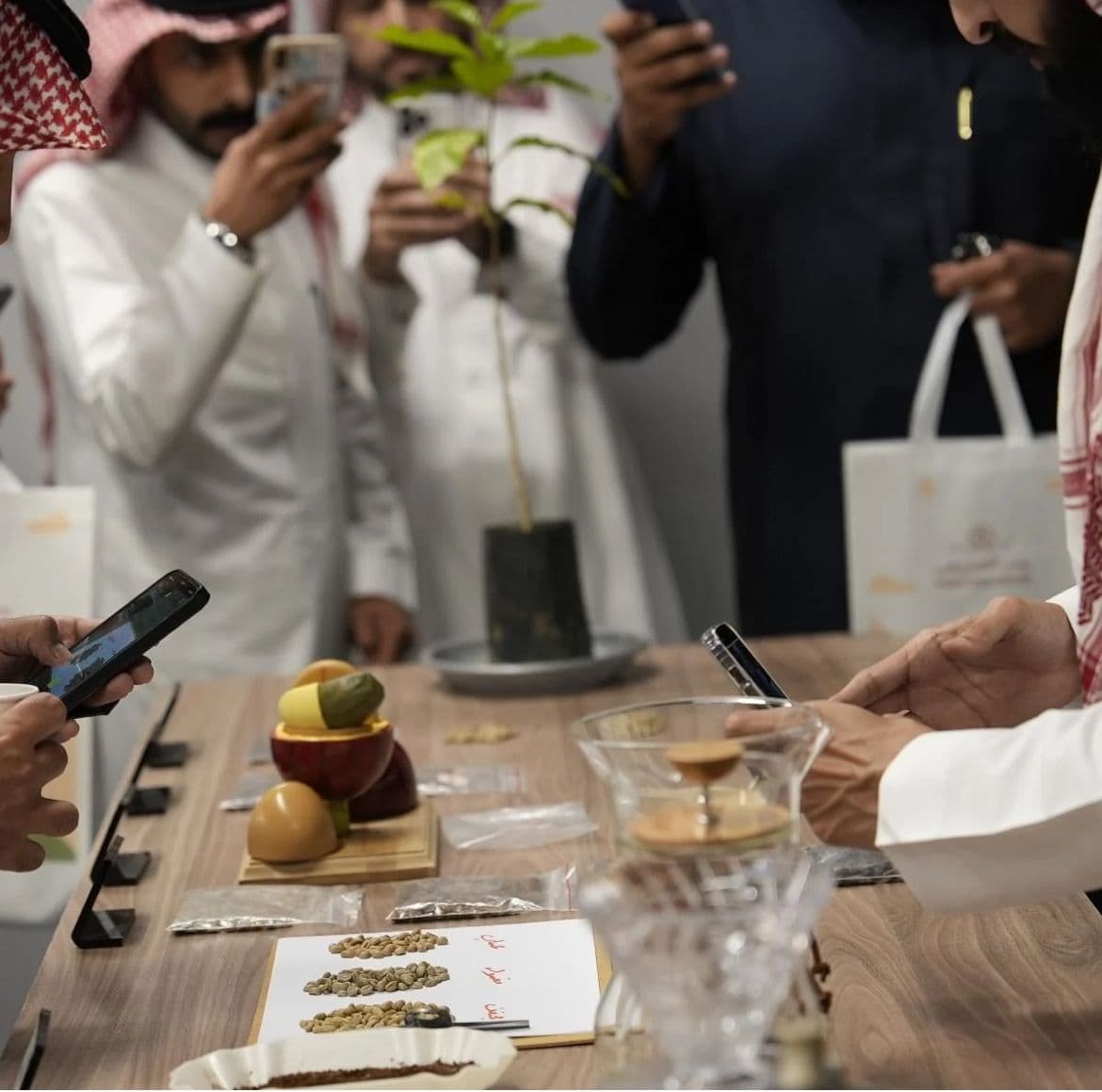 البساط احمدي - جلسة قهوة